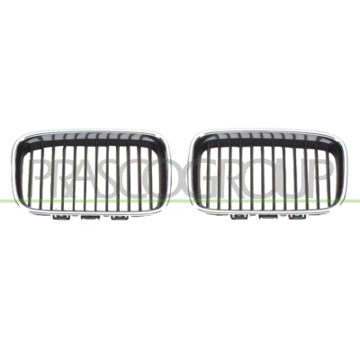 Imagem de PRASCO BM0142114 Grelha de Radiador esquerda BMW: 3 Sedan, Touring