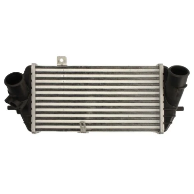 Imagem de THERMOTEC DA05007TT Intercooler