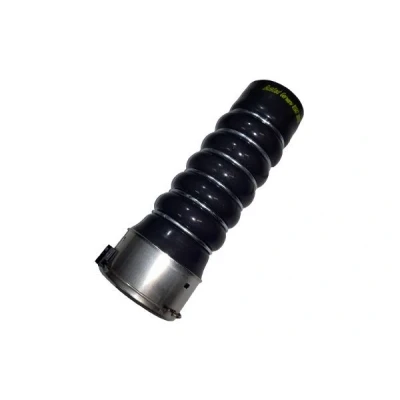 Imagem de BUGIAD 81847 Mangueira Para o Turbocompressor RENAULT: CLIO 3