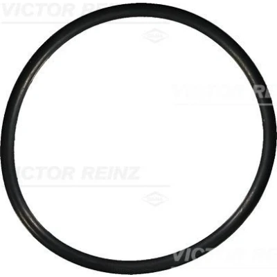 Imagem de REINZ 40 76149 00 Retentor 60 3,5 VOLKSWAGEN: Passat B5 GP Variant, Touareg I, GOLF 3, AUDI: A4 B6 Sedan, Avant, A6 C5 VOLVO: V70 2