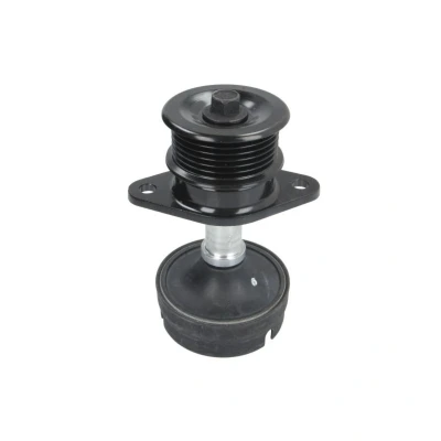 Imagem de INA 532 0612 10 Polia Roda Livre do Alternador 31,50 FORD: Focus Mk1 Carrinha