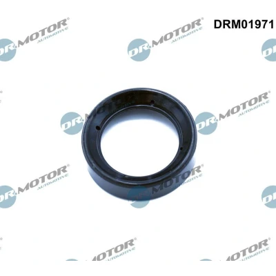 Imagem de DR.MOTOR AUTOMOTIVE DRM01971 Junta de Tapa Valvulas FORD: Transit Connect V408 Van