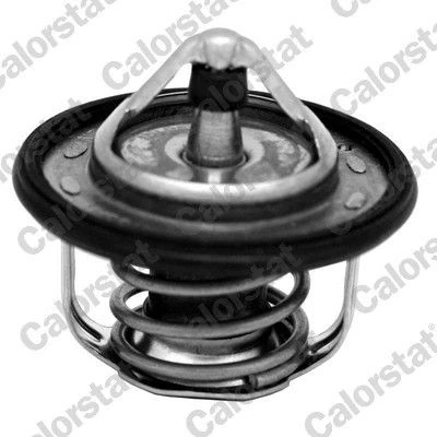 Imagem de CALORSTAT by Vernet TH7300.95J Termóstato, líquido de refrigeração 95 51,9 com junta RENAULT: MEGANE 3 Grandtour, Fluence, Coupe