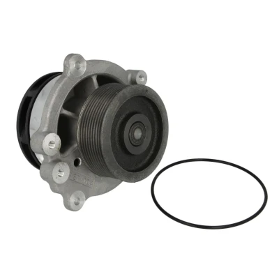 Imagem de THERMOTEC WP DF113 Bomba de água