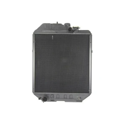 Imagem de Radiador, arrefecimento do motor THERMOTEC D7AG065TT