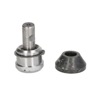 Imagem de REINHOCH RH03 6007 Rótula de suspensão Eixo dianteiro, ambos os lados, em baixo 18 CHRYSLER: Voyager / Grand 3