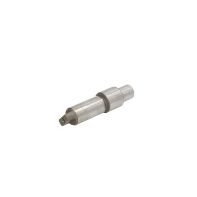 Imagem de Elemento, bomba CR BOSCH F 01M 100 285