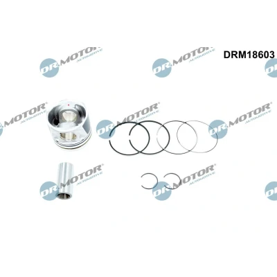 Imagem de Êmbolo Dr.Motor Automotive DRM18603