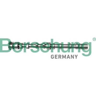 Imagem de Borsehung B12298 Árvore de Cames Lado do escape VOLKSWAGEN: Polo IV Hatchback