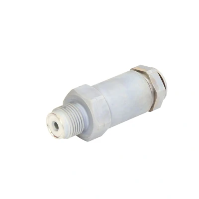 Imagem de Válvula de descompressão, sistema Common Rail BOSCH 1 110 010 035