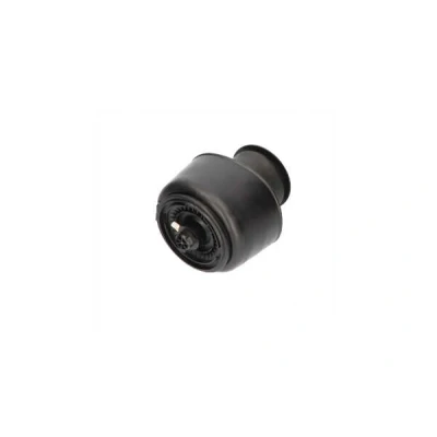 Imagem de KAVO PARTS SAS 10001 Mola pneumática, chassis Eixo traseiro pneumática BMW: 5 Touring, GT