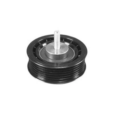 Imagem de MAGNETI MARELLI 331316170042 Polia Tensora