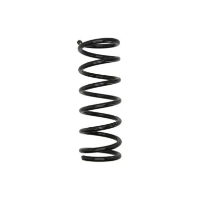 Imagem de Magnum Technology SZ1089 Mola de suspensão Eixo traseiro helicoidal