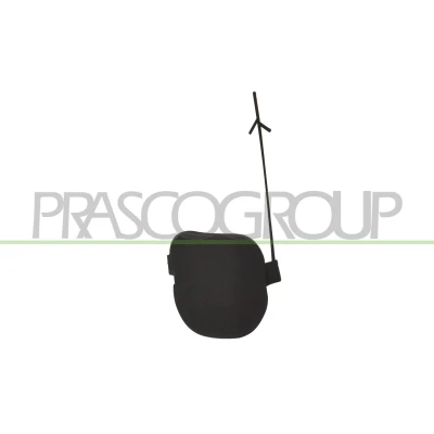 Imagem de PRASCO FT1241235 Tampa, gancho de reboque à frente FIAT: Panda III Hatchback