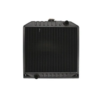 Imagem de Radiador, arrefecimento do motor THERMOTEC D7AG175TT