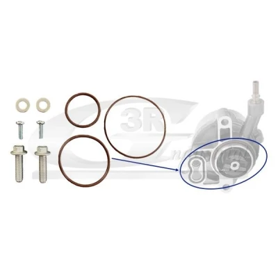 Imagem de 3RG 74205 Kit de reparação para bomba vácuo