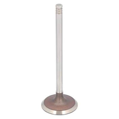 Imagem de FEBI BILSTEIN 183492 Válvula de Admissão 33,45 RENAULT: Clio 2, Kangoo I Express, 4, NISSAN: Qashqai / Qashqai+2