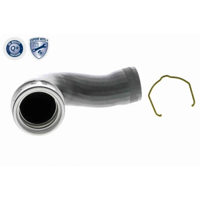 Imagem de VAICO V10 5315 Mangueira Para o Turbocompressor Borracha com entretela grampo VOLKSWAGEN: Golf 4, Bora Sedan, 4 Variant, AUDI: A3 Hatchback