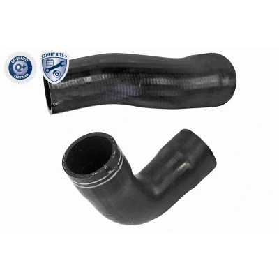 Imagem de VAICO V24 0986 Mangueira Para o Turbocompressor EXPERT KITS + FIAT: Doblo II Van / Carrinha