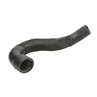 Imagem de THERMOTEC DCA024TT Mangueira Para o Turbocompressor