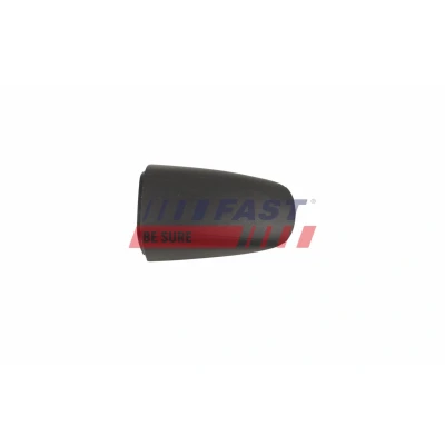 Imagem de FAST FT10847 Tampa, pega da porta