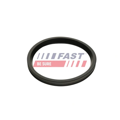 Imagem de FAST FT48947 Retentor, tubo do ar de sobrealimentação RENAULT: MASTER 3 Bus