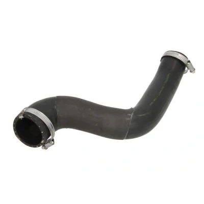 Imagem de THERMOTEC DCI046TT Mangueira Para o Turbocompressor LAND ROVER: Range Rover Sport