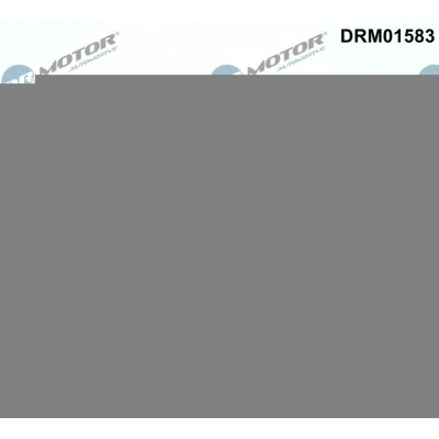 Imagem de DR.MOTOR AUTOMOTIVE DRM01583 Regulador do veio de excêntricos Lado escape 36