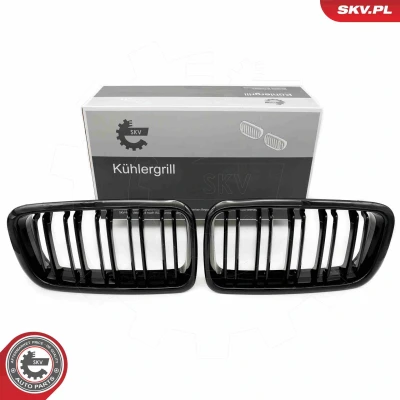 Imagem de ESEN SKV 66SKV216 Grelha de Radiador preto, brilhante BMW: 7