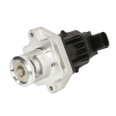 Imagem de DELPHI EG10496 12B1 Válvula EGR sem radiador da recirculação dos gases de escape FIAT: Ducato III Van, Grande Punto Hatchback, Evo Hatchback