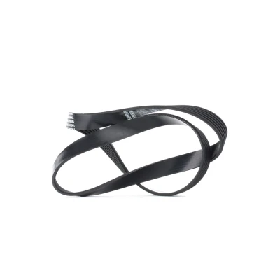 Imagem de DAYCO 6PK1000 Correia trapezoidal estriada 1000,0 6 PEUGEOT: 307 SW, Carrinha, Hatchback, VOLKSWAGEN: Polo V Golf 7, 7 Variant