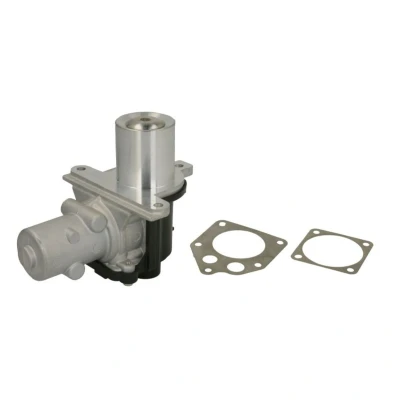 Imagem de WAHLER 710928D/1 Válvula EGR elétrico com juntas RENAULT: MEGANE 2 Kombi, CLIO 3, 2, NISSAN: Qashqai / Qashqai+2 I, NV200 Van Carrinha