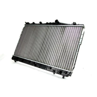 Imagem de Radiador, arrefecimento do motor THERMOTEC D70013TT