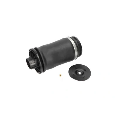Imagem de KAVO PARTS SAS 10010 Mola pneumática, chassis Eixo traseiro pneumática MERCEDES BENZ: Classe ML, ML