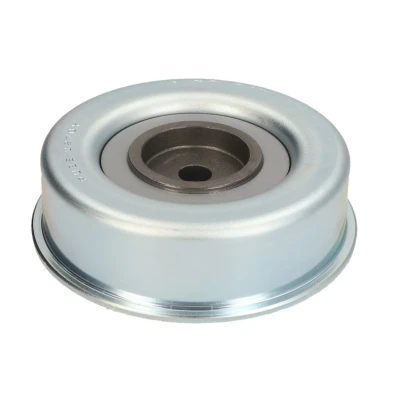 Imagem de DAYCO APV2561 Polia de Desvio