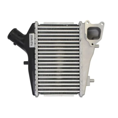 Imagem de THERMOTEC DA4005TT Intercooler