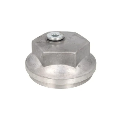 Imagem de Tampa, rolamento da roda AUGER 74160