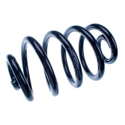 Imagem de DENCKERMANN D700089 Mola de suspensão Eixo traseiro BMW: 3 Touring, Cabrio