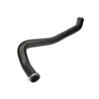 Imagem de THERMOTEC DCX034TT Mangueira Para o Turbocompressor RENAULT: MASTER 2 Kasten