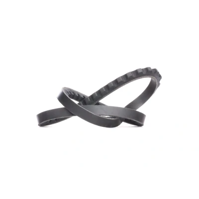 Imagem de Correia trapezoidal DAYCO 10A0665C