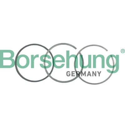 Imagem de Borsehung B19036 Jogo de Anéis do Pistão VOLKSWAGEN: GOLF 3, 2, Vento, SEAT: Córdoba I Vario, TOLEDO 1, AUDI: 90 B3