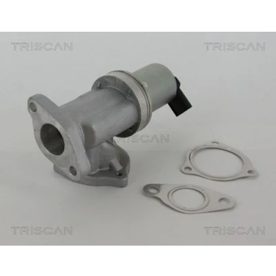 Imagem de TRISCAN 8813 43002 Válvula EGR electrónico com juntas HYUNDAI: SANTA FE 2, i30 I Carrinha, KIA: Sportage II