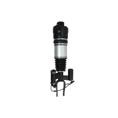 Imagem de Magnum Technology APM016MT Elemento de suspensão pneumática à frente, lado esquerdo MERCEDES BENZ: Classe E Sedan, T modell
