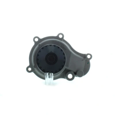 Imagem de AISIN WPA 009 Bomba de água CHRYSLER: VOYAGER 4