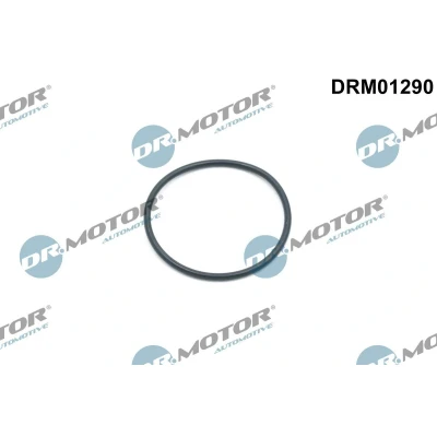 Imagem de DR.MOTOR AUTOMOTIVE DRM01290 Retentor, tensor da corrente de distribuição