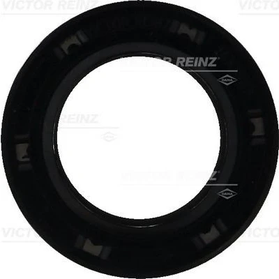Imagem de REINZ 81 42734 00 Retentor da Árvore de Cames VOLKSWAGEN: Sharan II, Golf 7, Tiguan I, SEAT: IBIZA 5, Leon III ST, AUDI: A3 Sportback