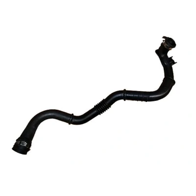 Imagem de BUGIAD 88760 Mangueira Para o Turbocompressor RENAULT: MEGANE 2 Kombi, SCENIC 2, endado, norauto, oscaro, mister auto