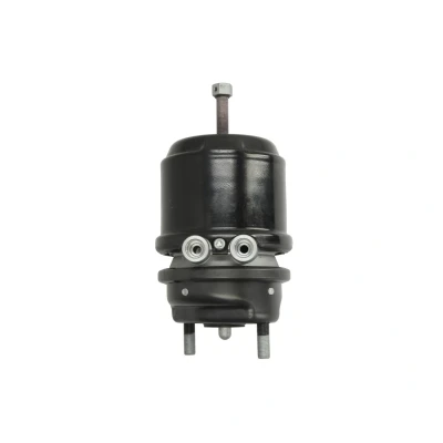 Imagem de Atuador do travão de mola DT Spare Parts 3.74004