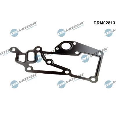 Imagem de DR.MOTOR AUTOMOTIVE DRM02813 Juntas PEUGEOT: 206 Hatchback, 407 SW, CITROËN: C4 I Xsara Picasso