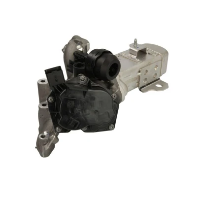 Imagem de PIERBURG 7.24809.94.0 Radiador EGR sem cablagem, com junta FORD: MONDEO 4